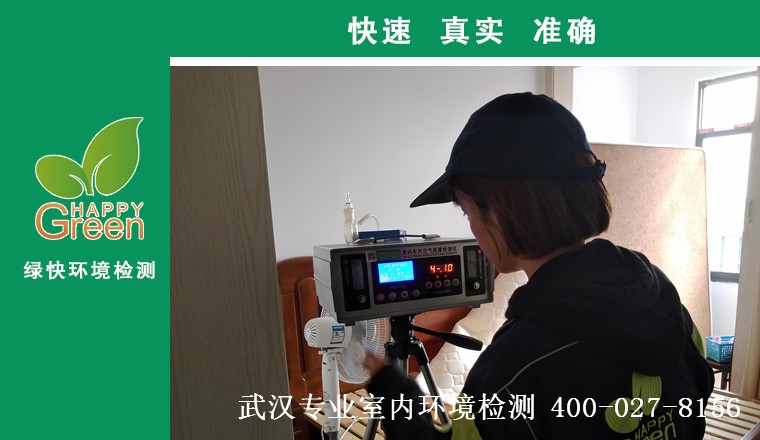 百步亭现代城，甲醛治理，甲醛污染，格瑞乐，武汉除甲醛，甲醛检测，绿快