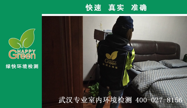百步亭金桥，甲醛治理，甲醛污染，格瑞乐，武汉除甲醛，甲醛检测，绿快