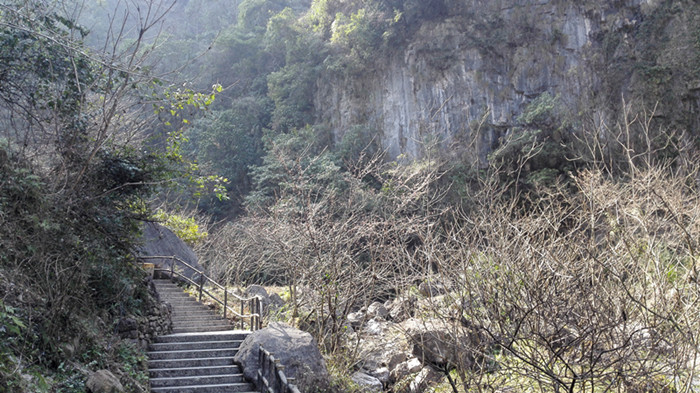 我环保，我快乐，格瑞乐环保，踏春游，长阳方山景区，山间的野樱花含苞欲放