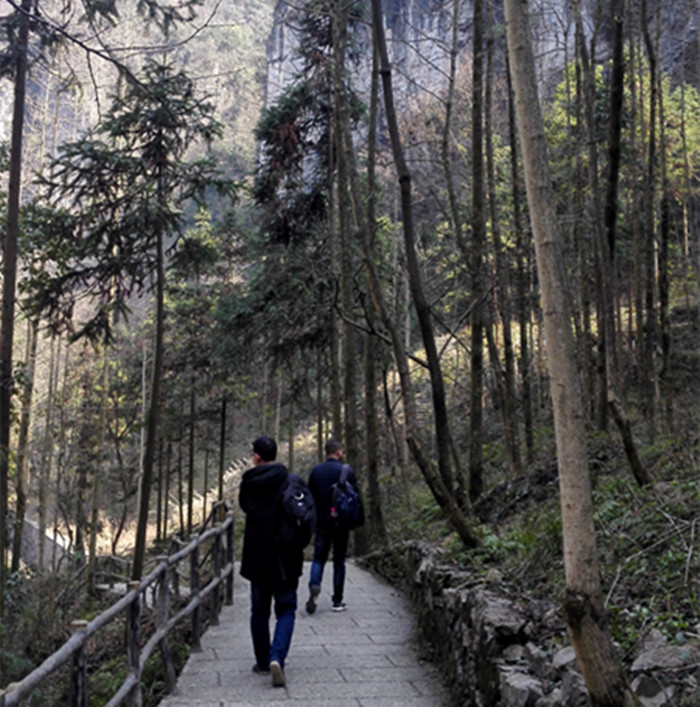 我环保，我快乐，格瑞乐环保，踏春游，长阳方山景区，峡谷松涛