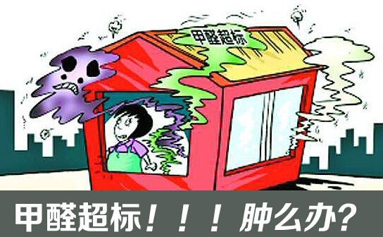 新房除甲醛，甲醛屋，专业除甲醛，空气净化器，格瑞乐环保