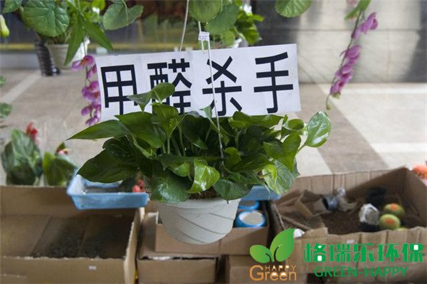 武汉除甲醛，甲醛治理