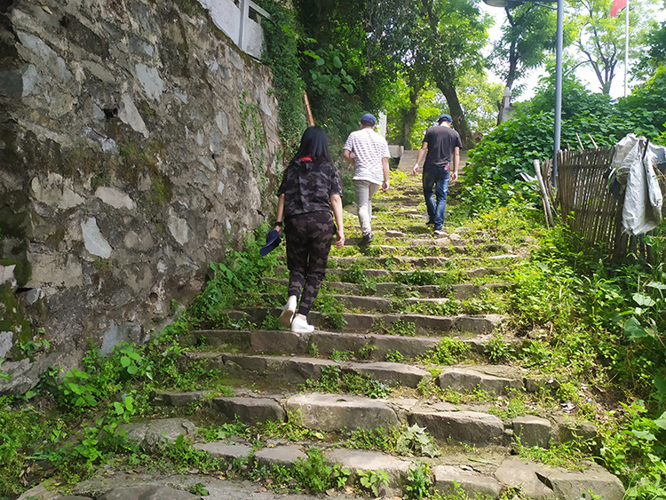 武汉除甲醛,武汉甲醛治理,武汉除甲醛公司