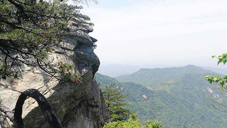 武汉除甲醛,武汉甲醛治理,武汉除甲醛公司