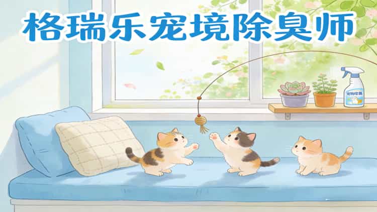 武汉养宠家庭福音｜格瑞乐环保·宠境除臭服务上线，专业除臭师上门除味