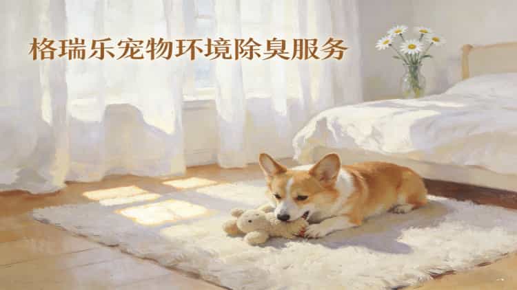 武汉养宠家庭必看！格瑞乐宠境除臭师上门，告别异味，清新到家